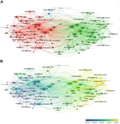 Pyroptosis in sepsis: Comprehensive analysis of research hotspots and core genes in 2022